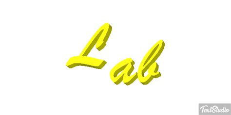 Image result for Animatie Logo Lab