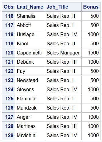 Toradh íomhá ar SAS Programming Basics