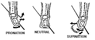 Subtalar Inversion に対する画像結果