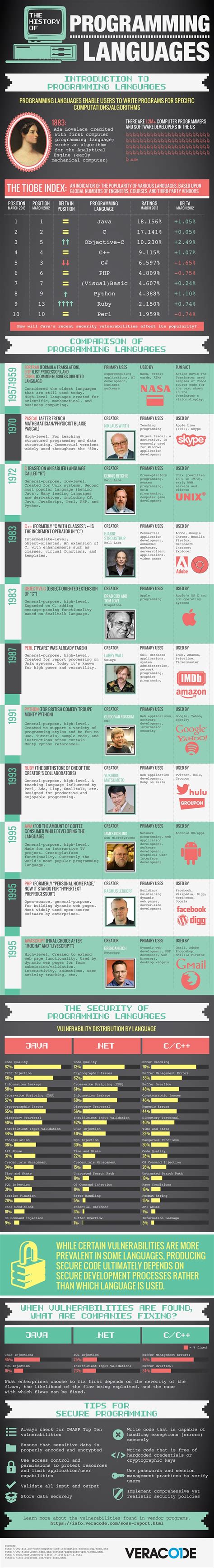 Image result for Infographic On Programming Languages History