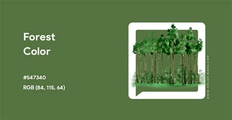 Image result for Forest Green Color Hex