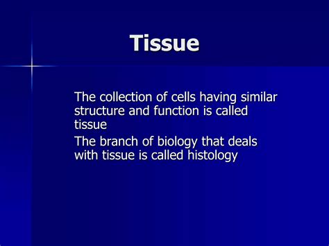 Image result for Human Tissue Types