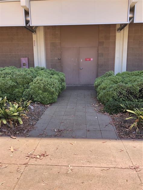 Résultat d’images pour International University Lab Setup