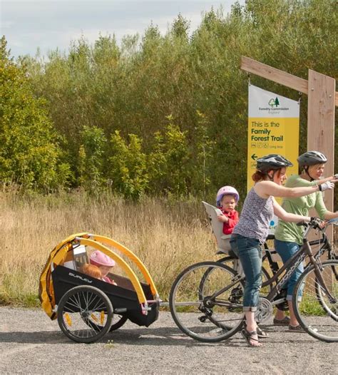 National Forest Explorer App に対する画像結果