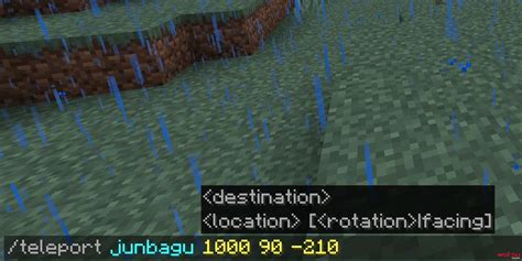 Toradh íomhá ar How to Teleport in Minecraft Java