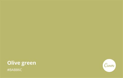 Image result for Olive Green Color RGB