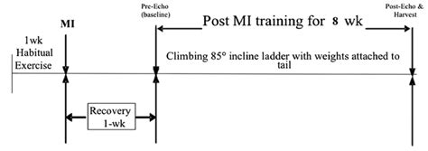 Afbeeldingsresultaten voor Experiment Flow Chart