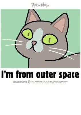 Image result for Space Cat Rick and Morty