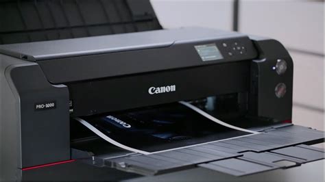 Canon imagePROGRAF PRO-1000 に対する画像結果