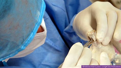 Toradh íomhá ar Alien Chronology