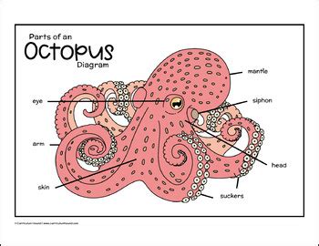 Image result for Cartoon Heart Pattern
