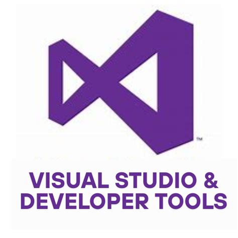 Image result for Software Developer Visual
