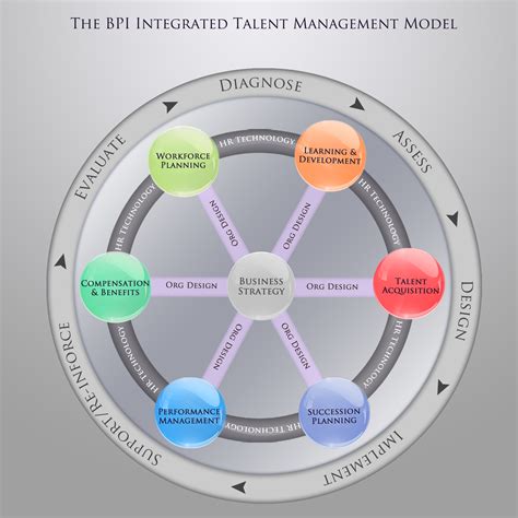 Image result for Integrated Management Competency Model