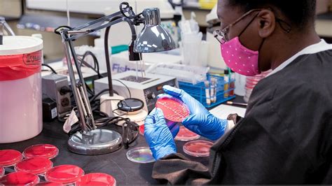 Image result for Med Lab Science