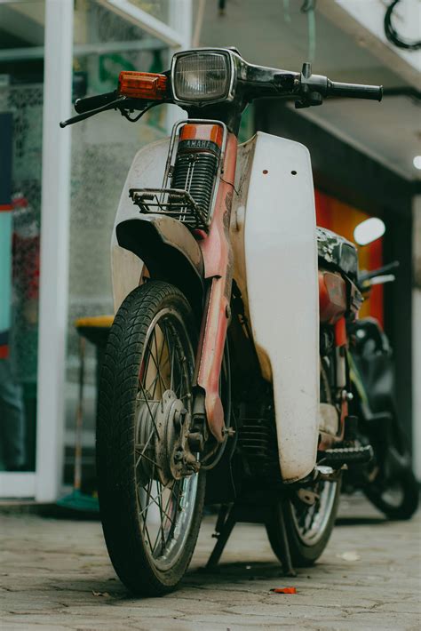 Image result for Java Road Bike