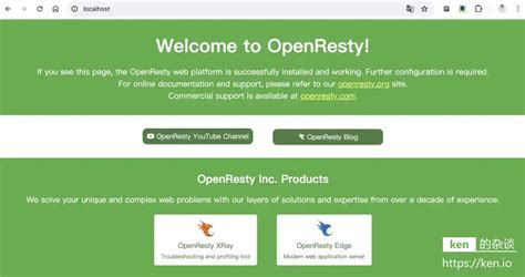 OpenResty 9443 Panel に対する画像結果