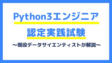 Expert Python Code に対する画像結果