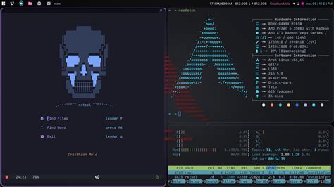 Image result for Arch Linux Interface