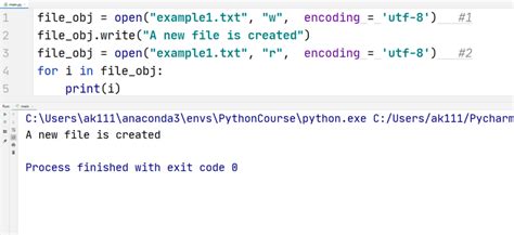 Python File Example に対する画像結果