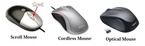 Toradh íomhá ar Computer Mouse Types