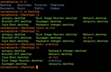 Image result for Unix Shell