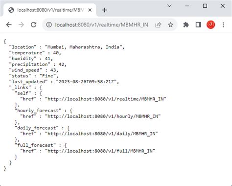 Google Test JSON Output Command に対する画像結果