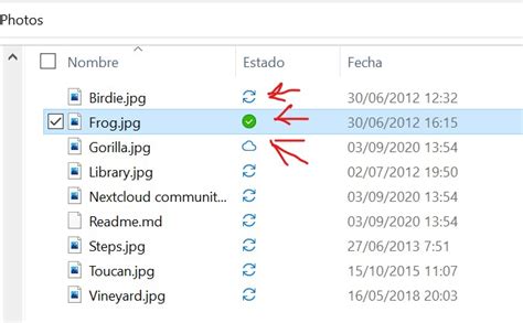Image result for File Explorer Icon Meanings
