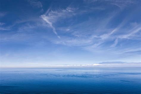 Résultat d’images pour Blue Spring Wildflowers