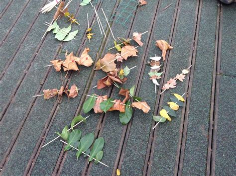 Image result for Problem Solving Early Years