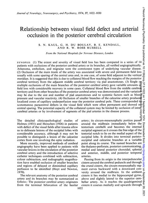 Bilateral Peripheral Visual Field Defect に対する画像結果