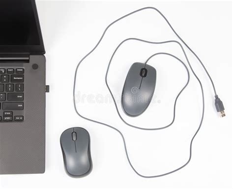 Image result for Computer Mouse Devices