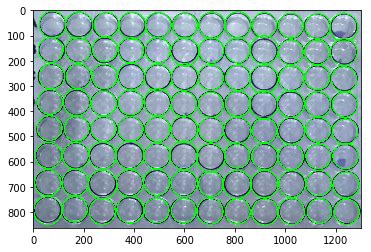 Image result for PCR Plate Image Well Detection Python-Opencv Stack Overflow