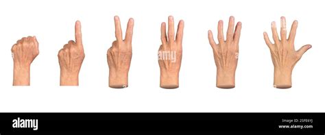 Finger On Palm of Hand Sign Language に対する画像結果