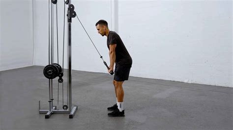 Image result for Cable Tricep Exercises
