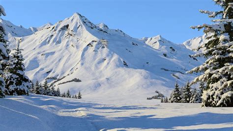 3D Visualization Software に対する画像結果