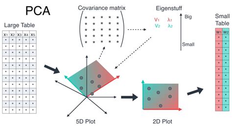 Image result for Principal Component Analysis Machine Learning
