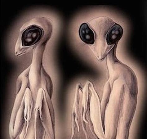 Races Insectoids Humanoids に対する画像結果