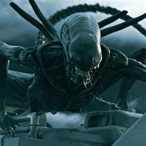 Image result for Alien Series