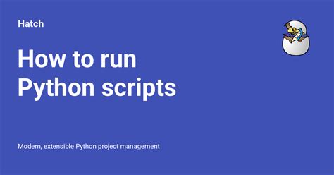 How to Run a Script in Python に対する画像結果