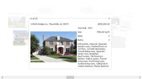 Image result for DevExpress Layout View
