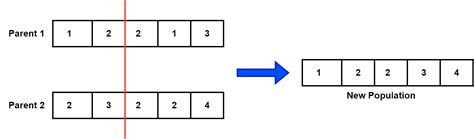 Image result for Order Crossover Genetic Algorithm