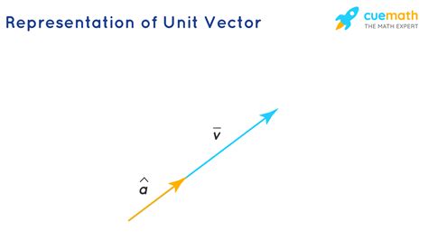 Image result for Standard Unit Vector Form