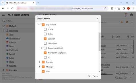 Image result for DevExpress XAF Customize Layout.css Blazor