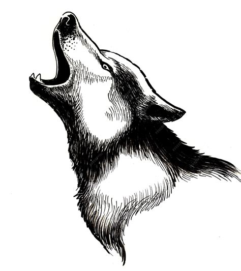 How Do You Draw Wolf に対する画像結果