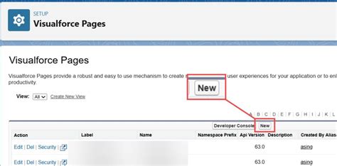 Image result for Visualforce Page. Examples