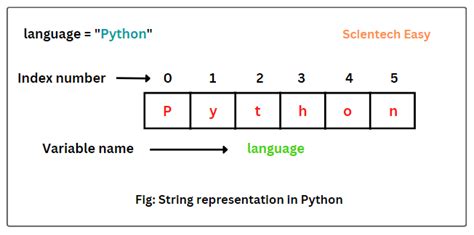 Image result for Python Program in String Operation of Cat How
