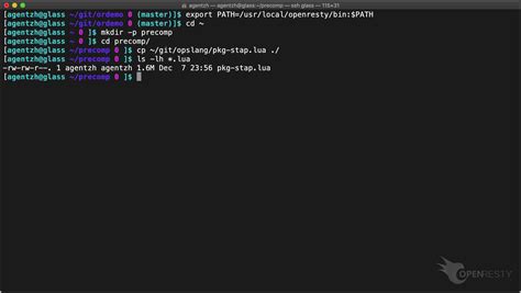 Toradh íomhá ar OpenResty Modules