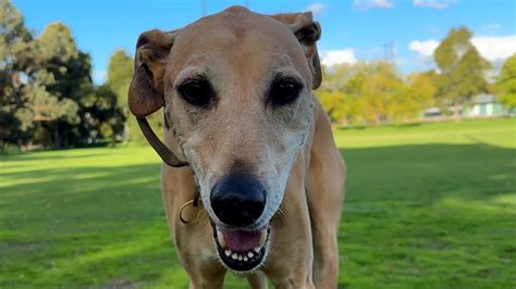 Image result for Back to Normal Programming