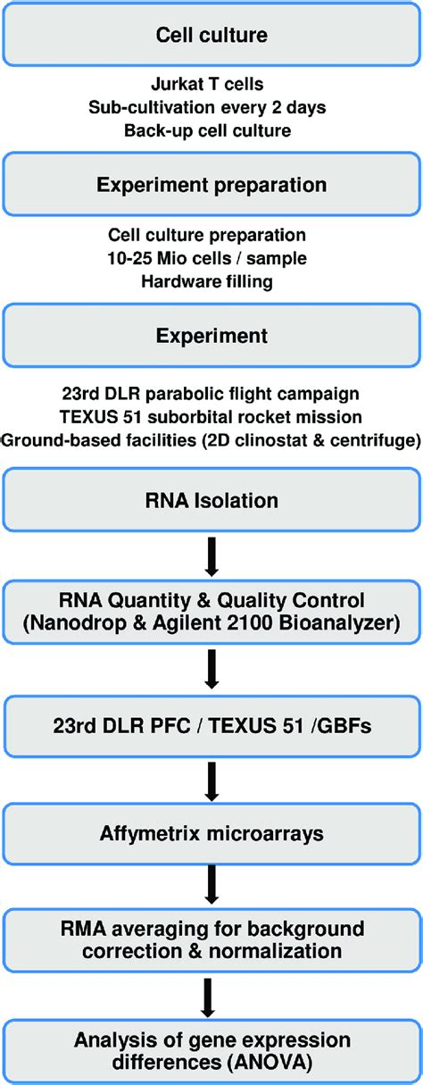 Afbeeldingsresultaten voor Experiment Flow Chart