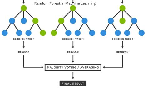 Image result for Random Forest Machine Learning in Weather Forecasting